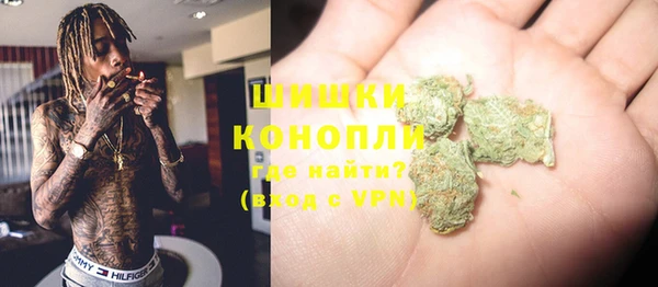 молекула духа Богородицк