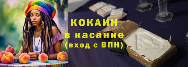 молекула духа Богородицк