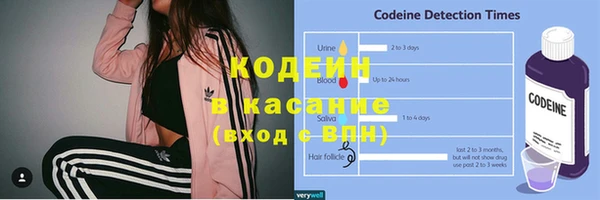 молекула духа Богородицк