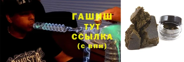 молекула духа Богородицк