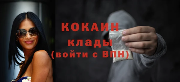 молекула духа Богородицк