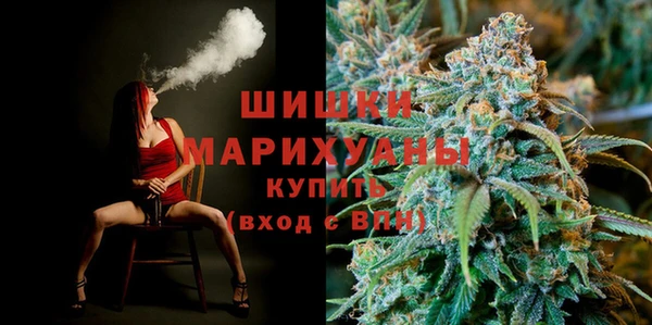молекула духа Богородицк