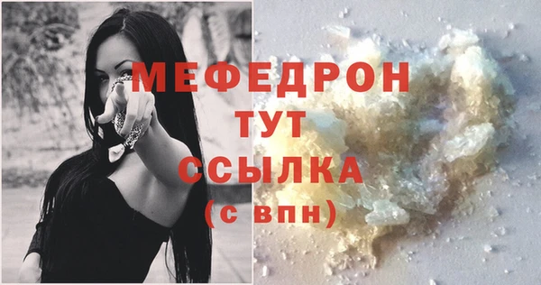 молекула духа Богородицк