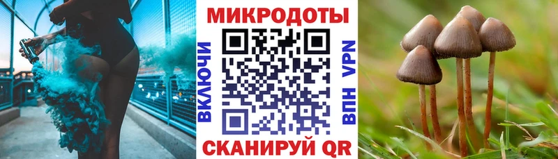 Псилоцибиновые грибы Cubensis  что такое   Мурманск 